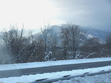 ny dec 2009 077